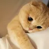 lenboxvoitao