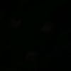 salih_can_2131