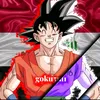 goku5m1