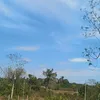 wrtteles