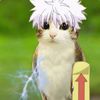 meowlkillua
