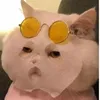 daylamebong