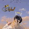 adeel.khan3904