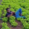 user149071167102