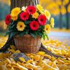 nur.alam9980