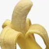 saxara_tt_ss