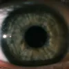 tripchev7