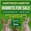 Danny's Rabbitry