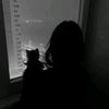 in.__.shah