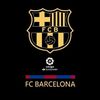 www2.viscabarca