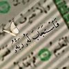 user77159669434617