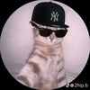 luis.n015