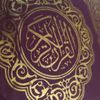 badr.emam46