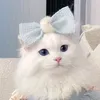 memedqwqww