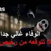 user7784802280233