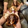 the.hairy.hotdogs
