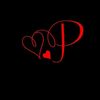 night.crlr