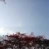 iri_s15