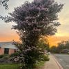 ivan._0725