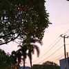 ._cefu_