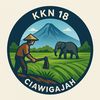kkn.18.ciawigajah