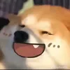 ryanxautinhvaii