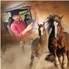 muhammad.sheraz.m809