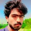 lasharibaloch6967