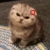 yumicute214