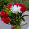 mian.fawad67