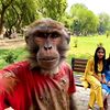 ai_master_vlog