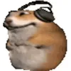 ririririririr5
