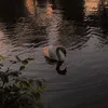 abirmahmoud11