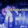 mowapowaa