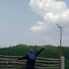 pejuang.receh0372
