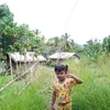 mi.chell128