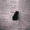 _861137