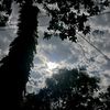 laxmi.chanda86