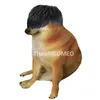 TrumMEOMEO