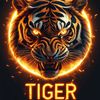 Tiger 🐯