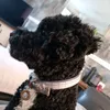 oscar.wi11