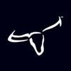 longhorn.pr