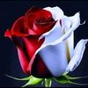 suleyman2761