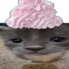 𝘷𝘦𝘪𝘪𝘻๑