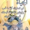 zouhaier.abidi64