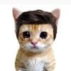 michi_funas
