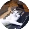 eyz.w7
