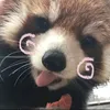 kkrttuu