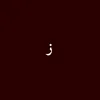 zm_55z