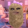 lapapotarika